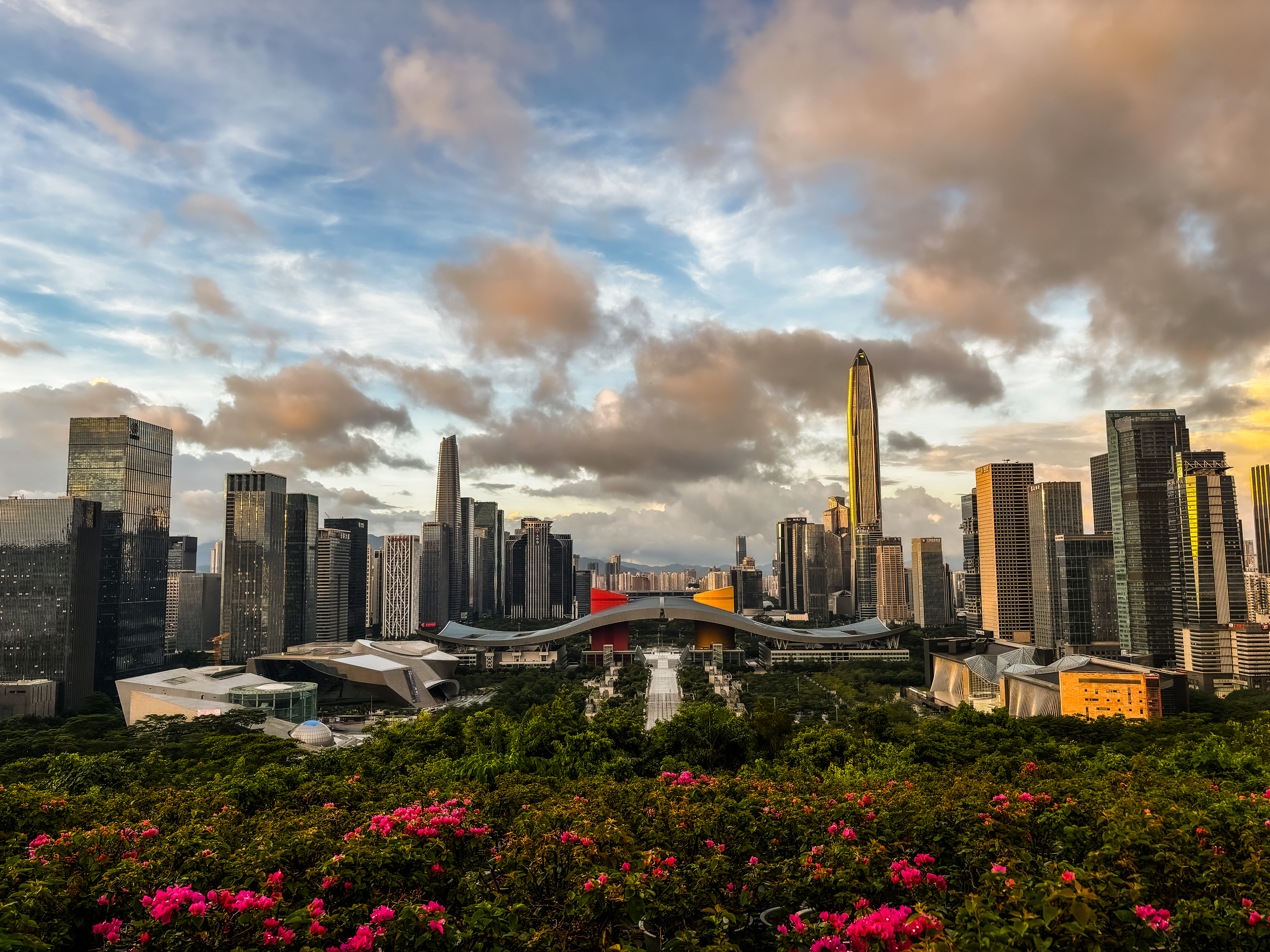 Shenzhen skyline with flowers